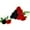 Black & Red, variant on Zukuco 12 Pcs Artificial Roses Flowers Silk Flower Bouquet Fake Single Stem with Long Stem for Home Wedding Party Garden Decoration (Red and White)