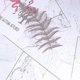 thumbnail image 2 of unique 10pcs artificial plant decorations, Decorative Plants, 2 of 2