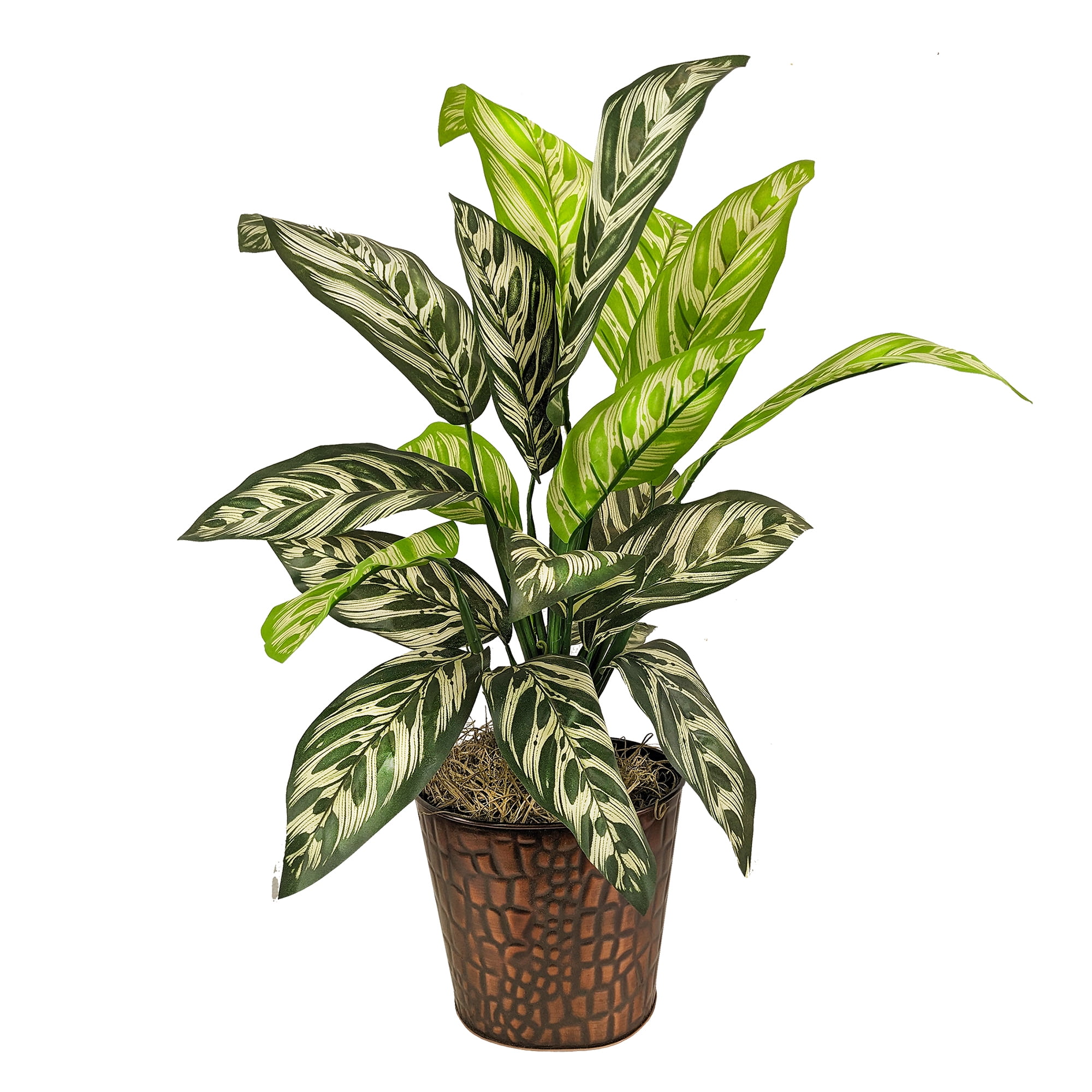 LCG Sales Artificial Plant, Variegated Green Leaf Potted Prayer Plant, 2 ft, Embossed Metal Pot