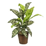 LCG Sales 24" Artificial Variegated Green Leaf Potted Prayer Plant with Embossed Metal Pot
