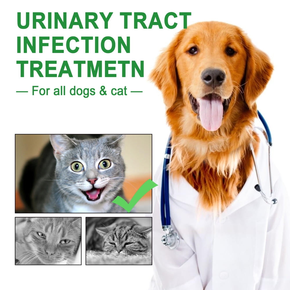 Dog uti treatment walmart 2025