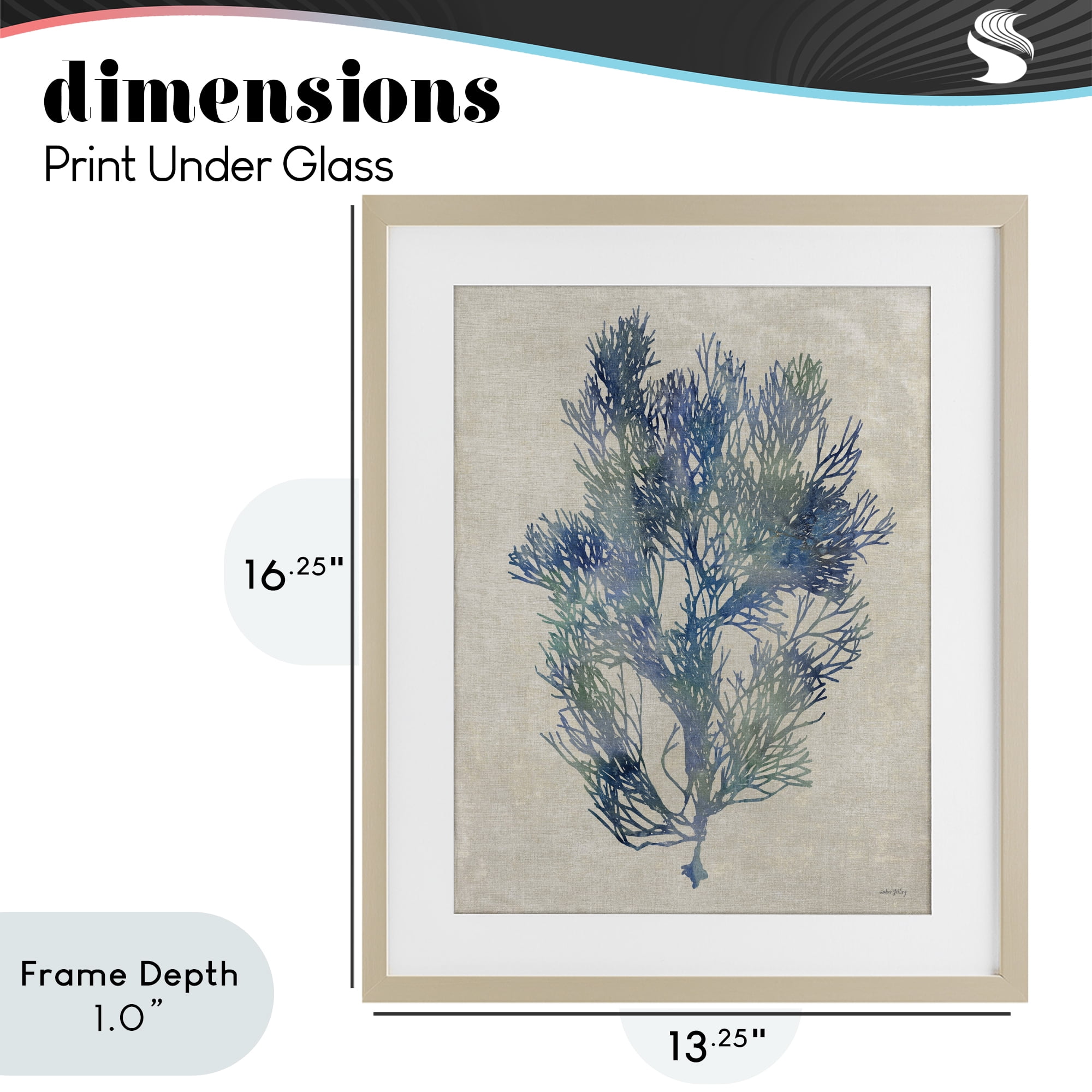Stupell Industries Misty Blue Coral Study Birch Framed Print Under Glass, design by Amber Sterling