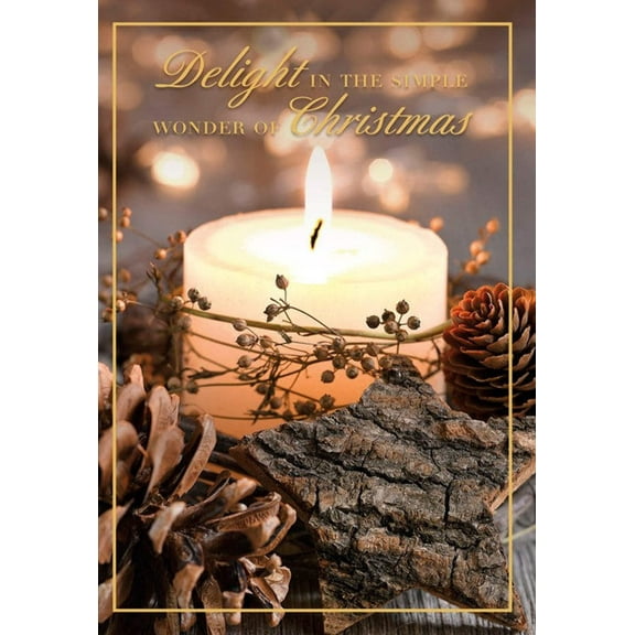Delight in the simple wonder Christmas Greeting Card [CCC40112701]