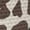 Brown Cow, variant on Pointodoor Halloween Kids Tennis Shoes for Girls Bat Cobweb Print Running Sport Shoes Breathable Lightweight Walking Sneakers with Hook and Loops