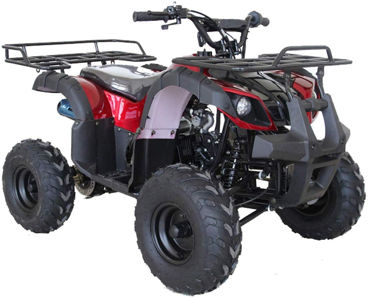 Tao Motor ATA 125D 125cc ATV with Electric Start and Reverse