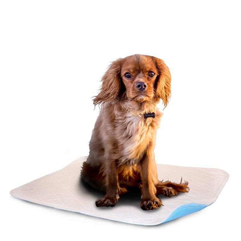 LennyPads Whelping Pads Ultra Absorbent, Leak Proof, Washable Pee