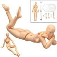 thumbnail image 4 of Body Doll, Artists Manikin Blockhead Jointed Mannequin Drawing Figures Male+Female Set (Skin Color), 4 of 7