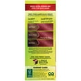 thumbnail image 4 of Garnier Nutrisse Ultra Color Nourishing Hair Color Creme, R3 Light Intense Auburn (Packaging May Vary), Pack of 1, 4 of 5