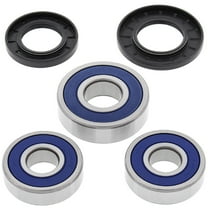All Balls Rear Wheel Bearing & Seal Kit (25-1358)