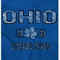 thumbnail image 2 of Ohio Vintage Buckeye Leaf Stencil OH Unisex Plus Fleece Graphic Hoodie Brisco Brands 2X, 2 of 5