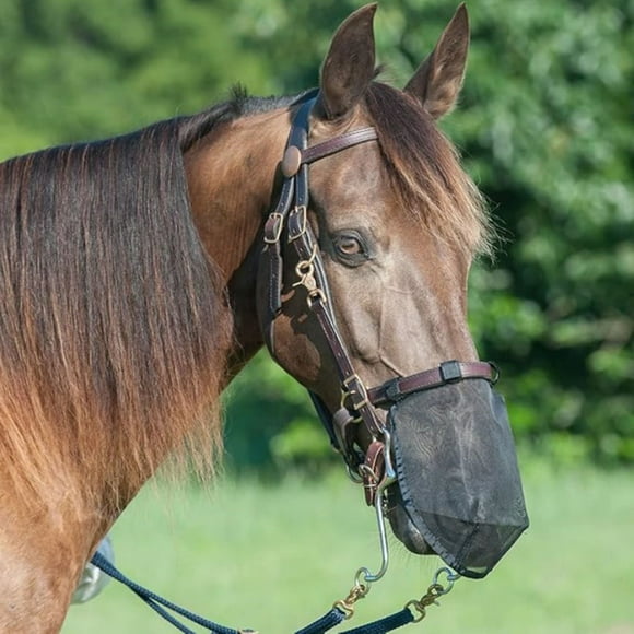 Fournitures pour Animaux Filet Anti-Mouches pour Cheval Couvre-Nez pour Équitation Équipement Stable Respirant pour Voyages Équestres et Entraînement en Plein Air