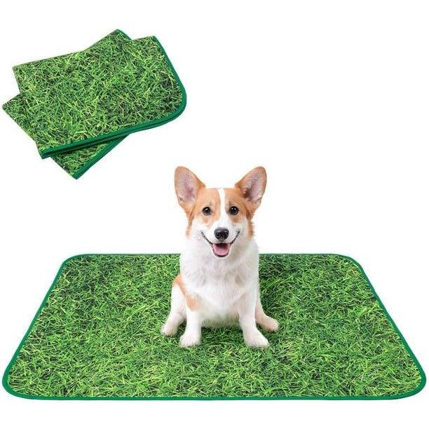 PoochPad - Tapis de propreté Réutilisable pour chiens - Large, 2