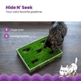 thumbnail image 4 of Catstages Grass Patch Hunting Box - Interactive Indoor Cat Toy with Faux Grass & 3 Jingle Balls - Encourages Exercise, Mental Stimulation & Natural Hunting Instincts, 4 of 7