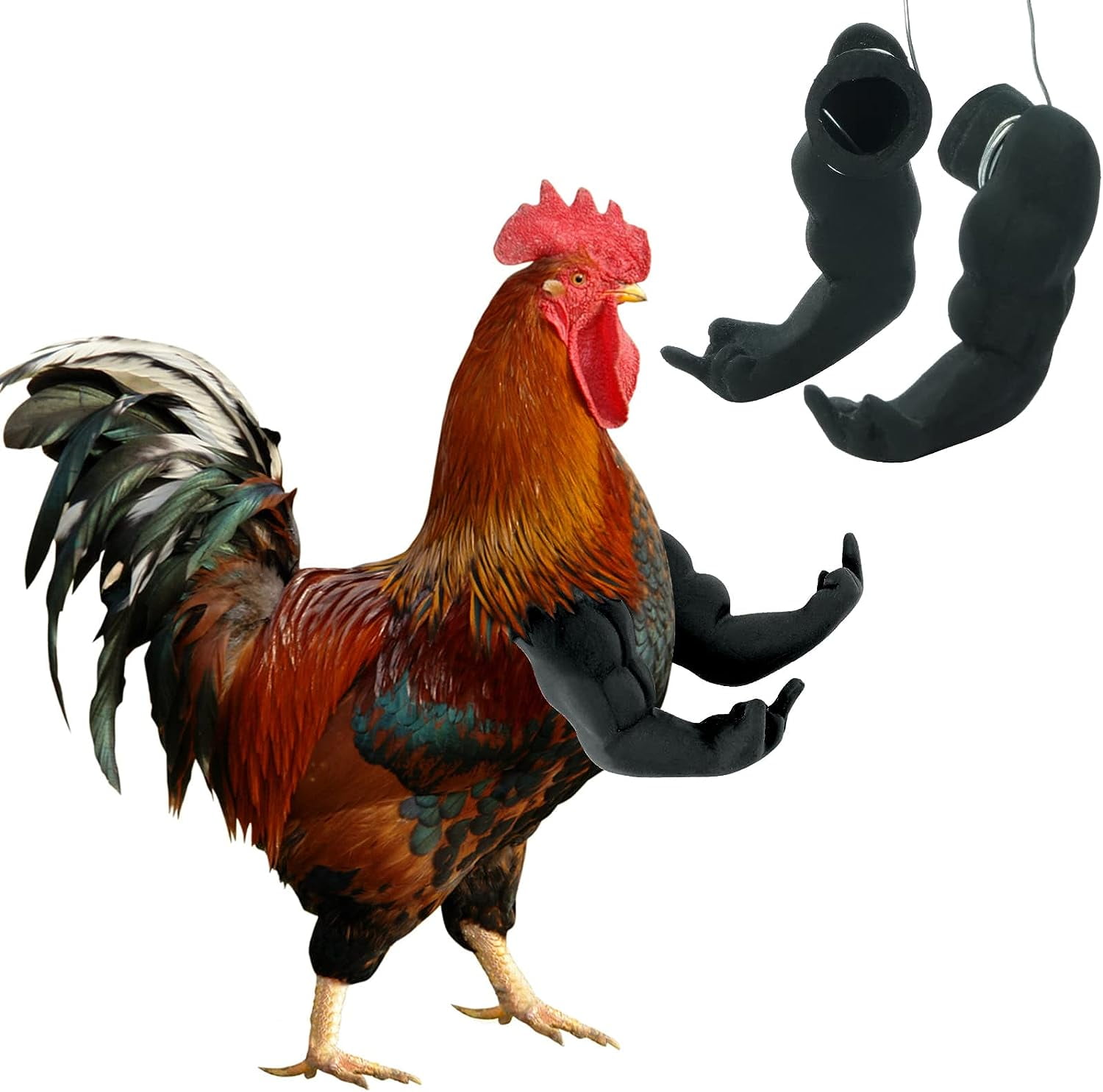FUAMEY Muscle Chicken Arms Toys for Chickens to Wear, Funny Costume Fist  Fighting Arms Toy for Pet Prank Themed Party, Artificial Arms Decorations  Costume Cosplay for Chickens Rooster Hens Upgraded version