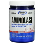 Gaspari Nutrition Aminolast, Recovery & Endurance BCAA Superfuel, Fruit Punch, 14.8 oz (420 g)