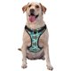 thumbnail image 1 of Balery Turtles And Seahorses Arnés para Perros Grandes Antitirones, Arnés con Correa para Gato, Arnés Tipo Chaleco para Perros Pequeños-Small, 1 of 6