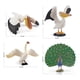 thumbnail image 3 of Juego de figuras Wildlife Bird, juguete realista de PVC para niños, 4 piezas, 3 of 3