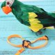 thumbnail image 1 of Cuerda De Tracción Para Mascotas Parrot Leash Arnés ajustable Bird Anti Fly Cuerda de entrenamiento al aire libre (Amarillo, 1 of 4