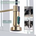 thumbnail image 4 of Grifo de cocina WEWE en oro cepillado con rociador desplegable, 4 of 6
