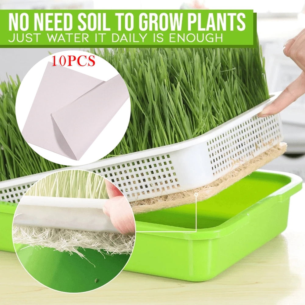Plant Germination Tray Plant Grow Seed Sprouter Starter Nursery Box Basket DI 