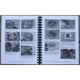 thumbnail image 2 of 1988-2022 Honda XR650L XR650 XR 600 650 650L Dual Sport SERVICE & REPAIR MANUAL, 2 of 2