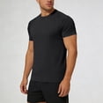 thumbnail image 2 of WERYOUNG Men's T-Shirts Casual Short Sleeve T Shirt Crew Neck Raglan Sleeve Tee Outdoor Activities Cozy Tops, 2 of 4