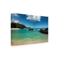 thumbnail image 2 of Paradise Coastline' Canvas Art by Danny Head, 2 of 4