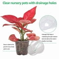 thumbnail image 4 of 30 Packs Clear Nursery Pots 3.5/4/5 Inch, Transparent Plastic Planters with Drainage Holes, Seed Starting Pots for Flower Plant Containers, 4 of 7