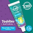 Tom's of Maine Natural Fluoride-Free Toddler Training Toothpaste