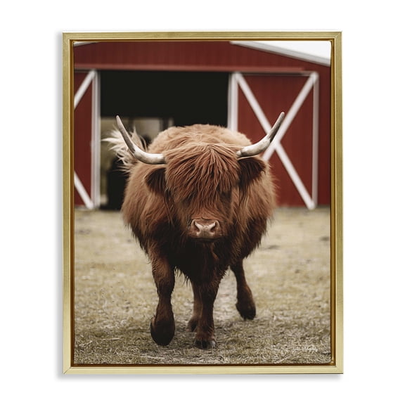 Stupell Industries Rustic Lodge Trotting Highland Cattle Bold Red Barn Gold Floating Frame Canvas Art, 25 x 31, by Dakota Diener