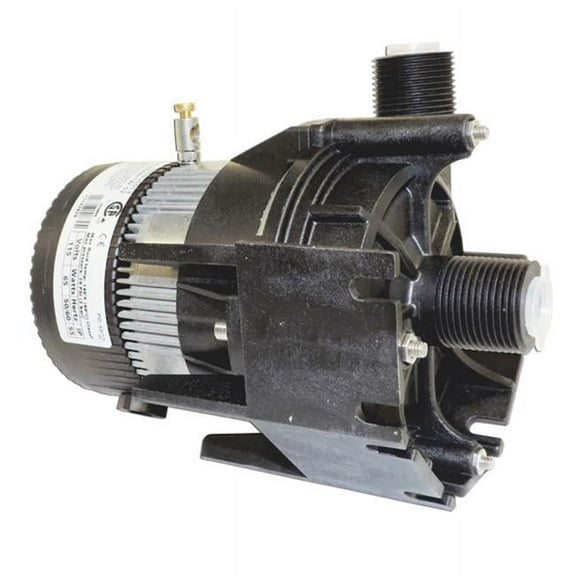 Laing  0.75 in. MPT 115V E10 Series Circulation Pump
