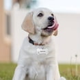 thumbnail image 4 of Custom Engraved Dog ID Tags - Perfect for Puppies & Small-Medium Dogs - Include Your Pet's Name & Phone Number!, 4 of 5