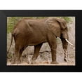 thumbnail image 2 of Underdahl, Dana 24x18 Black Modern Framed Museum Art Print Titled - Elephant I, 2 of 5