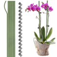 thumbnail image 1 of 10pcs Plant Support Sticks Stents Garden Flower Stakes Bendable Planting Climbing Qualitative Wire Plastic Coated Metal Steel, 1 of 5