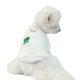 thumbnail image 1 of Camiseta de otoño-invierno para mascotas - Tejido suave - Cuello redondo para perros/gatos - Cálida y cómoda para llevar en interiores/exteriores, 1 of 7