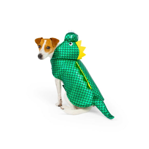 One Paw, Dinosaur Dog Costume, Halloween