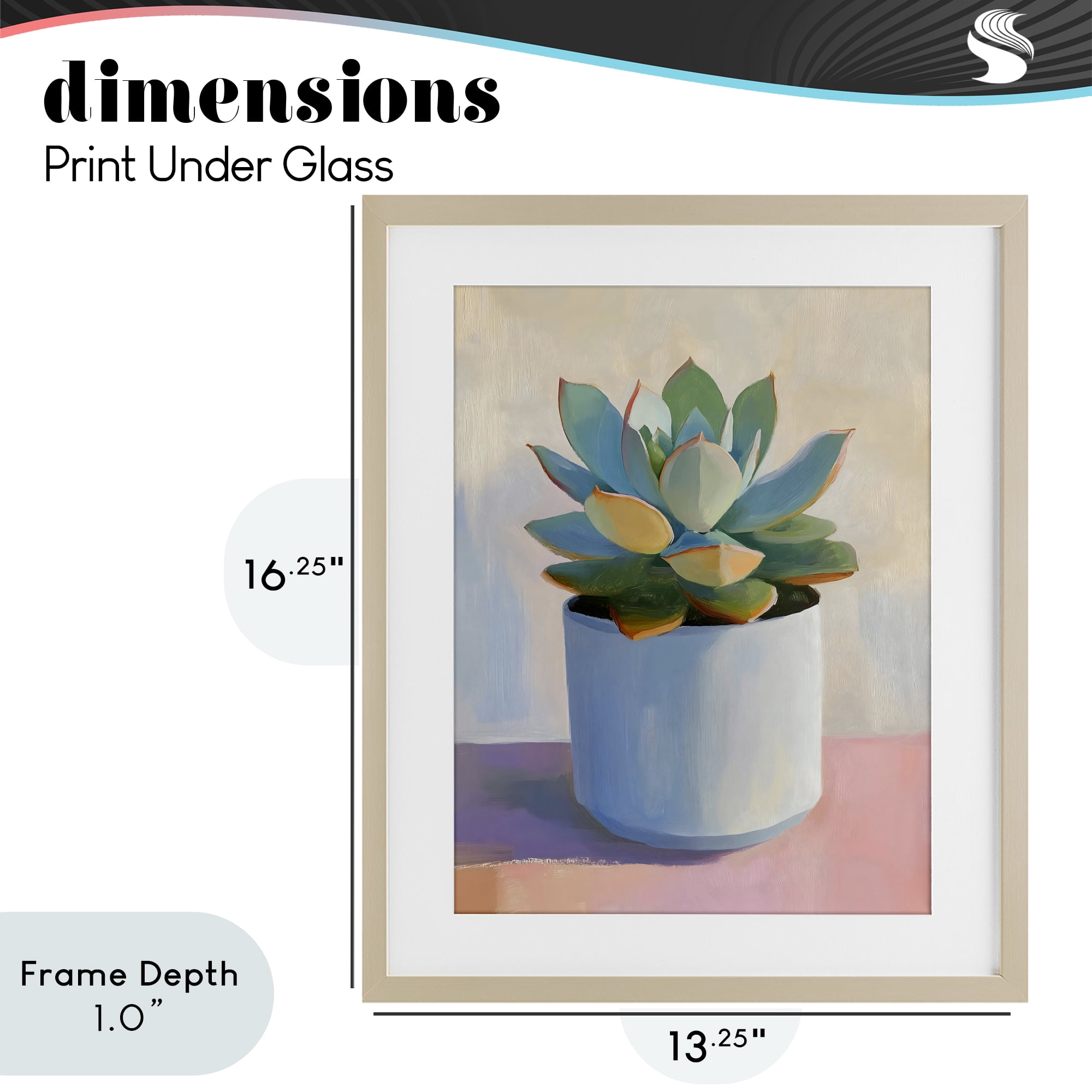 Stupell Industries Succulent Plant in White Pot Birch Framed Print Under Glass, design by The Prints Vibe