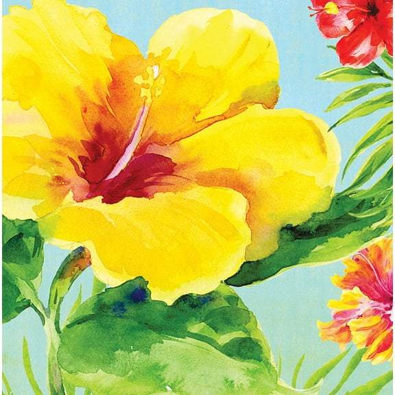 LN 12/18CT 2P HEAVENLY HIBISCU