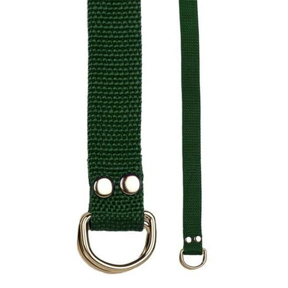 Champion Sports 20209 Football Belt, Green
