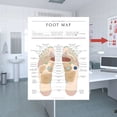 thumbnail image 1 of Poster For Teaching Body Structure Anatomy At The Vein And Artery Aesthetics Training Institute,Poster*1 Clearance, 1 of 3