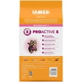 thumbnail image 2 of IAMS Proactive Health Healthy Puppy Chicken Recipe Small Breed Dry Puppy Food, (4) 5 Lb Bags, 2 of 11