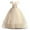 Champagne, variant on KAWELL Girl's Ball Dress Lace Embroidered Tulle Flower Princess Party Beauty Dress