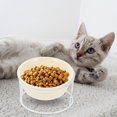 thumbnail image 1 of Mobutofu 1 Set Round Elevated Dog Bowl With Stand For Pet Eating Needs, 1 of 6