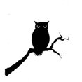 thumbnail image 1 of Lavinia Tampon - Grand Hibou, 1 of 1