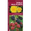 North American Nature Guides: Edible Wild Plants: A Folding Pocket Guide to Familiar North American Species (Other)