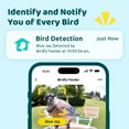 thumbnail image 4 of Netvue Birdfy Bird Feeder with Camera, Smart Bird Camera with Solar Panel, AI Identify 6000+ Species, Ideal Gift, 4 of 10