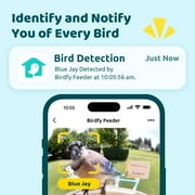 Netvue Birdfy Bird Feeder with Camera, Smart Bird Camera with Solar Panel, AI Identify 6000+ Species, Ideal Gift