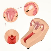 Intrauterine Device Training Kit