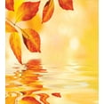 thumbnail image 3 of Ambesonne Orange Duvet Cover Sets, Sun View Leaves, 2-Twin, Earth Yellow Orange, 3 of 4