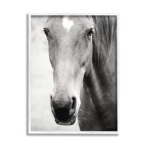 Stupell Industries Moke Lake Horse Photography Animals & Insects Photography White Framed Art Print Wall Art, 11 x 14